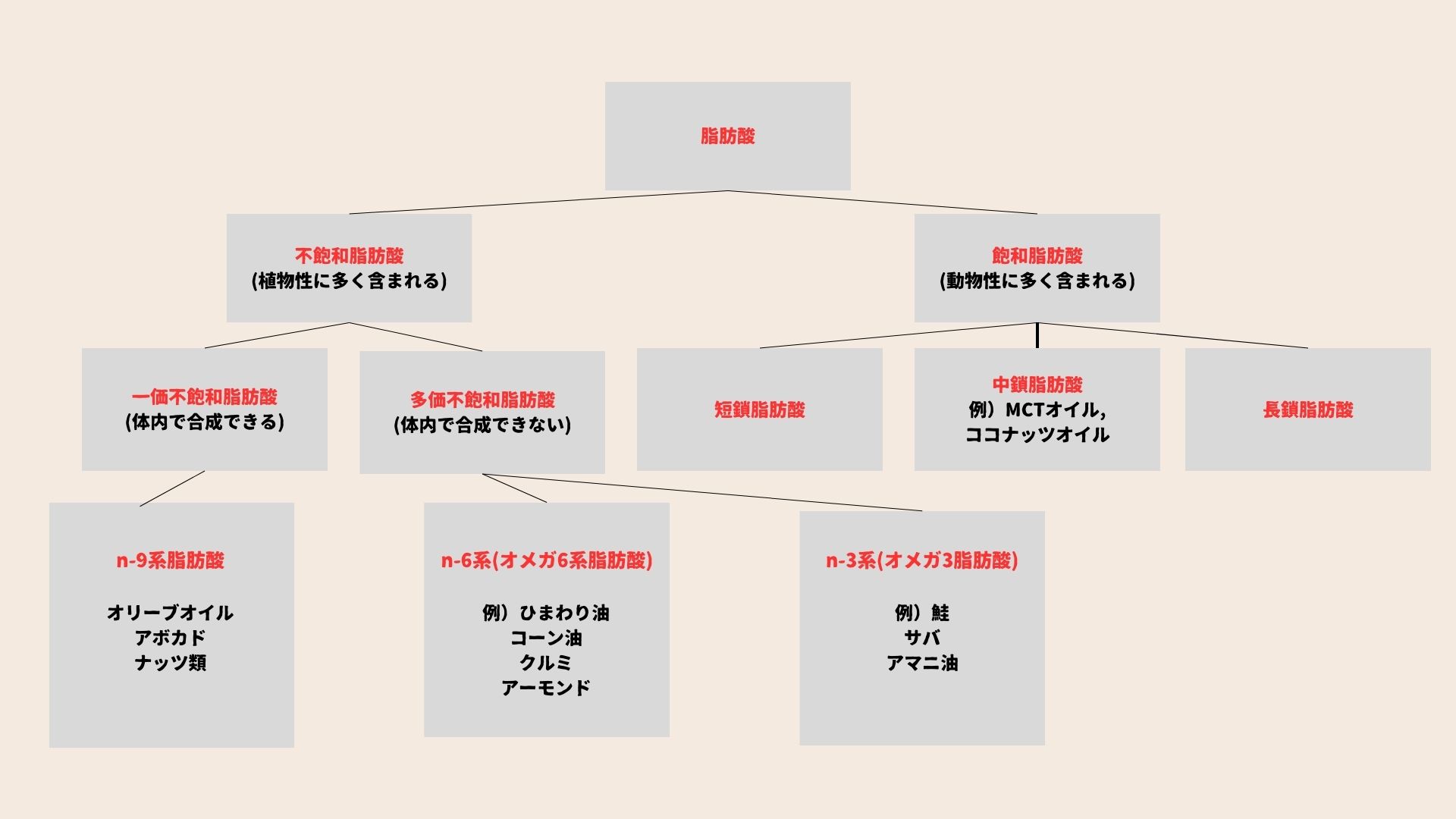 脂質の種類