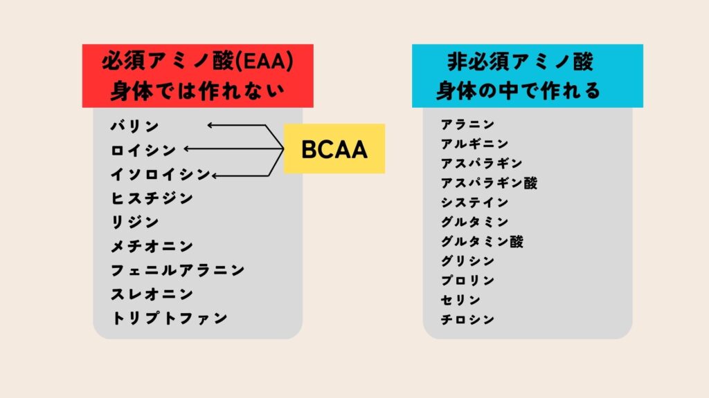 EAAとBCAA